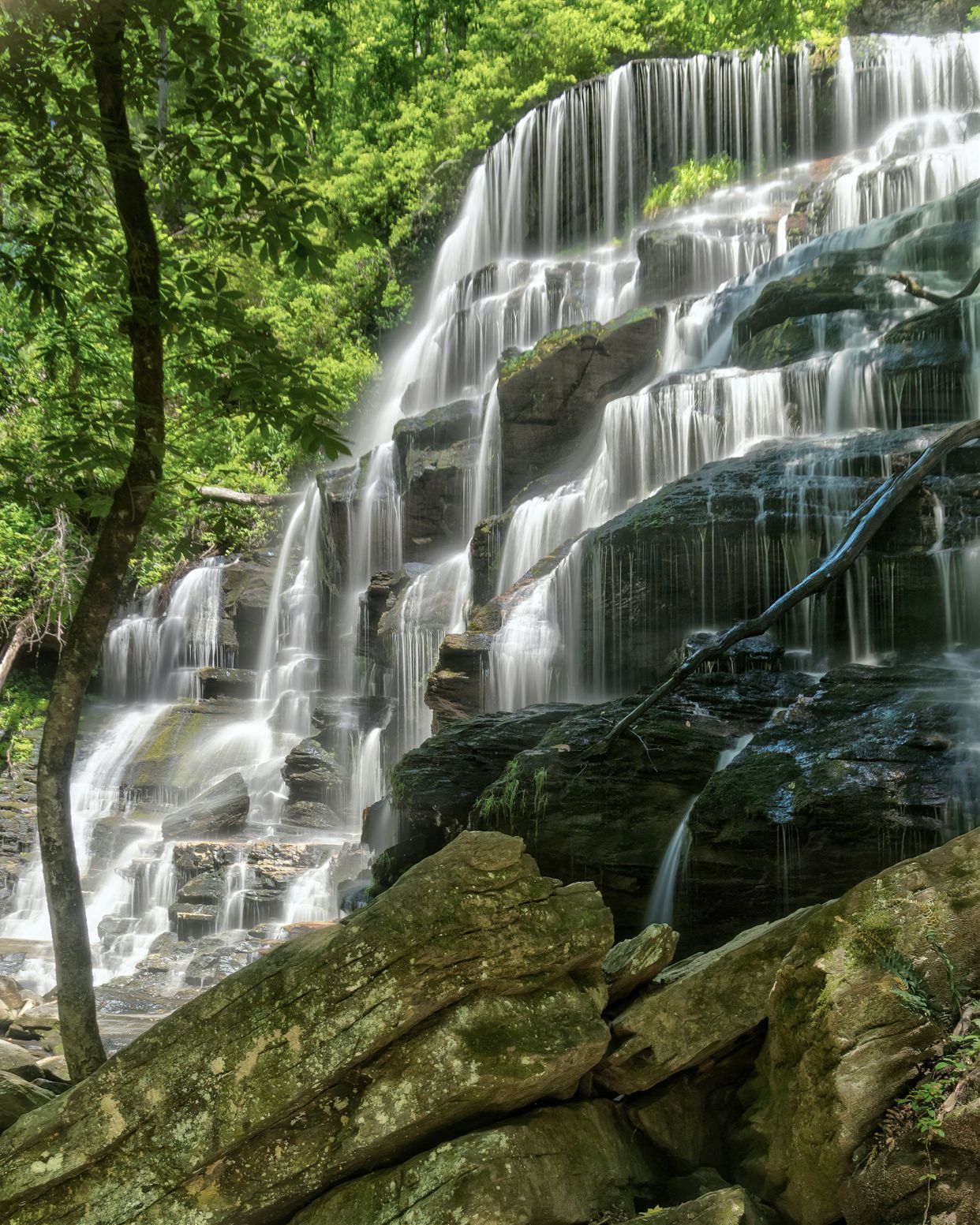 Yellow Branch Falls