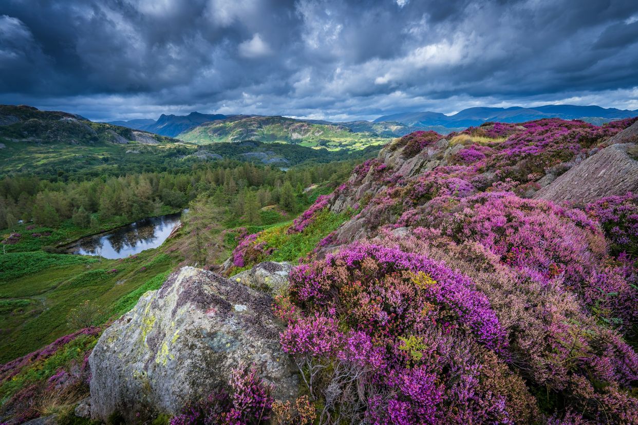 Holme Fell