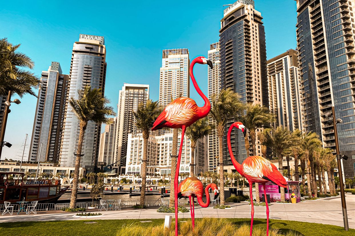 Creek Marina Promenade