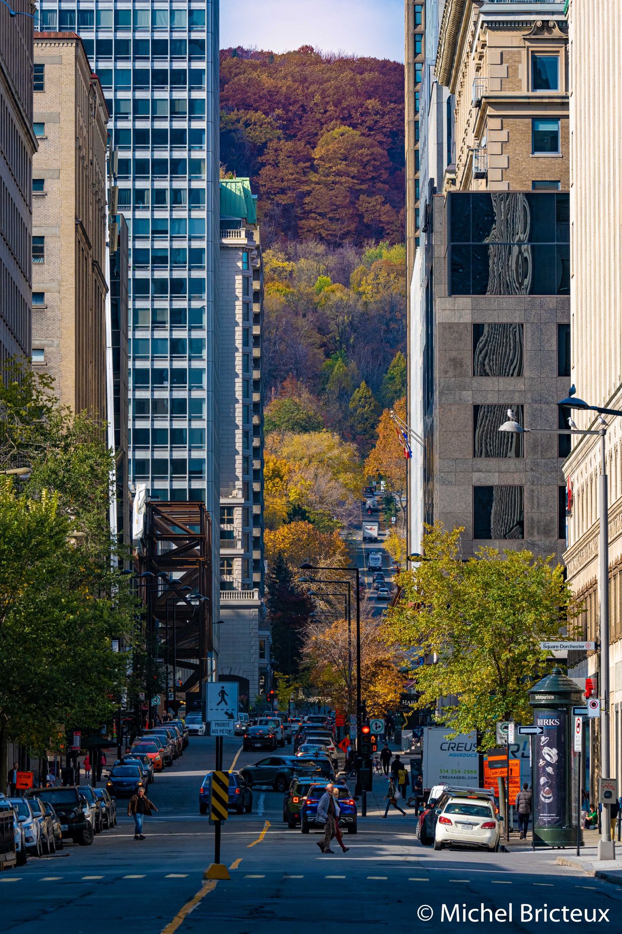 Peel Street Cityscape