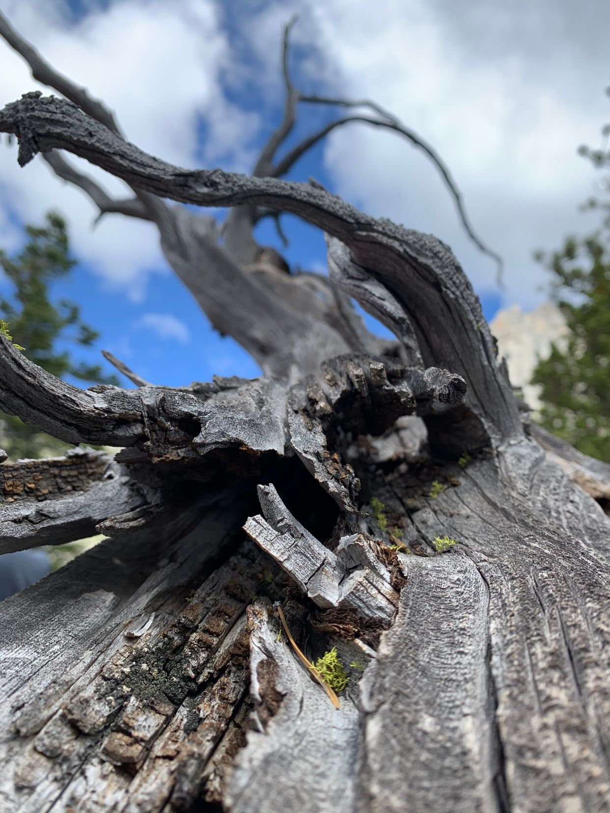 Eagle Lake Trail