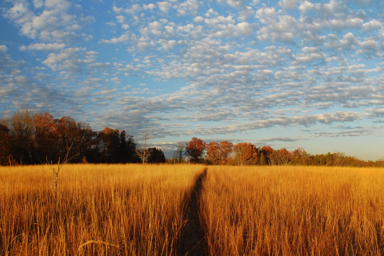 Bull Run Regional Park