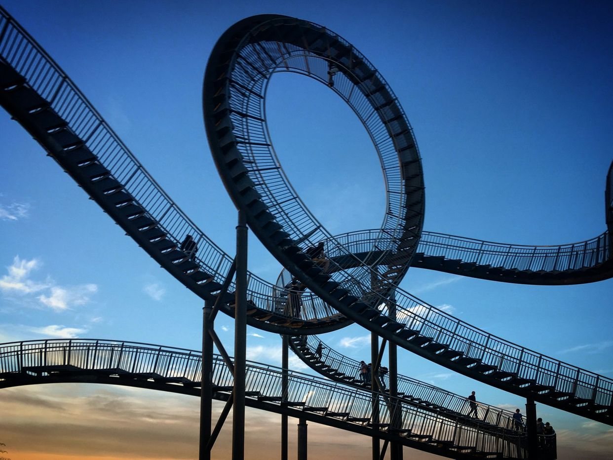 Tiger and Turtle