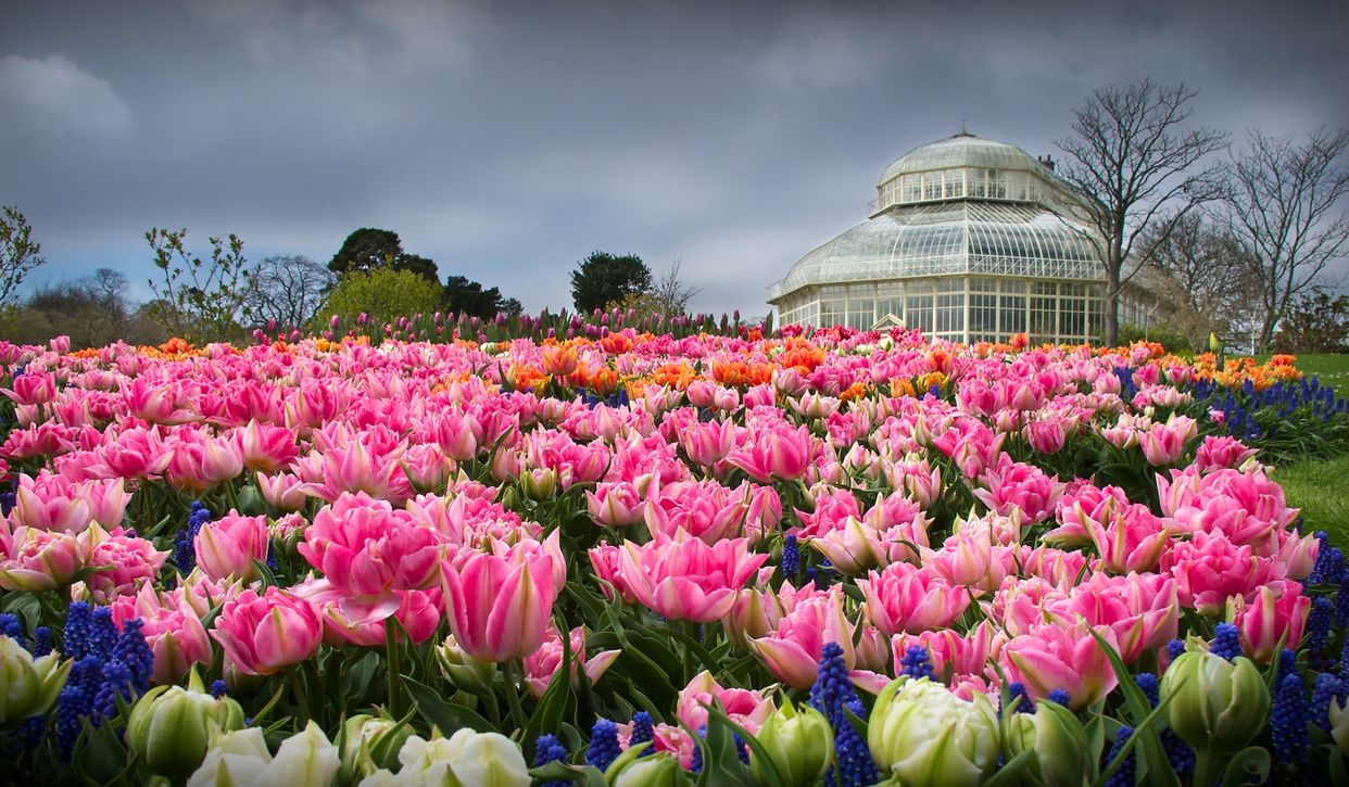 National Botanic Gardens