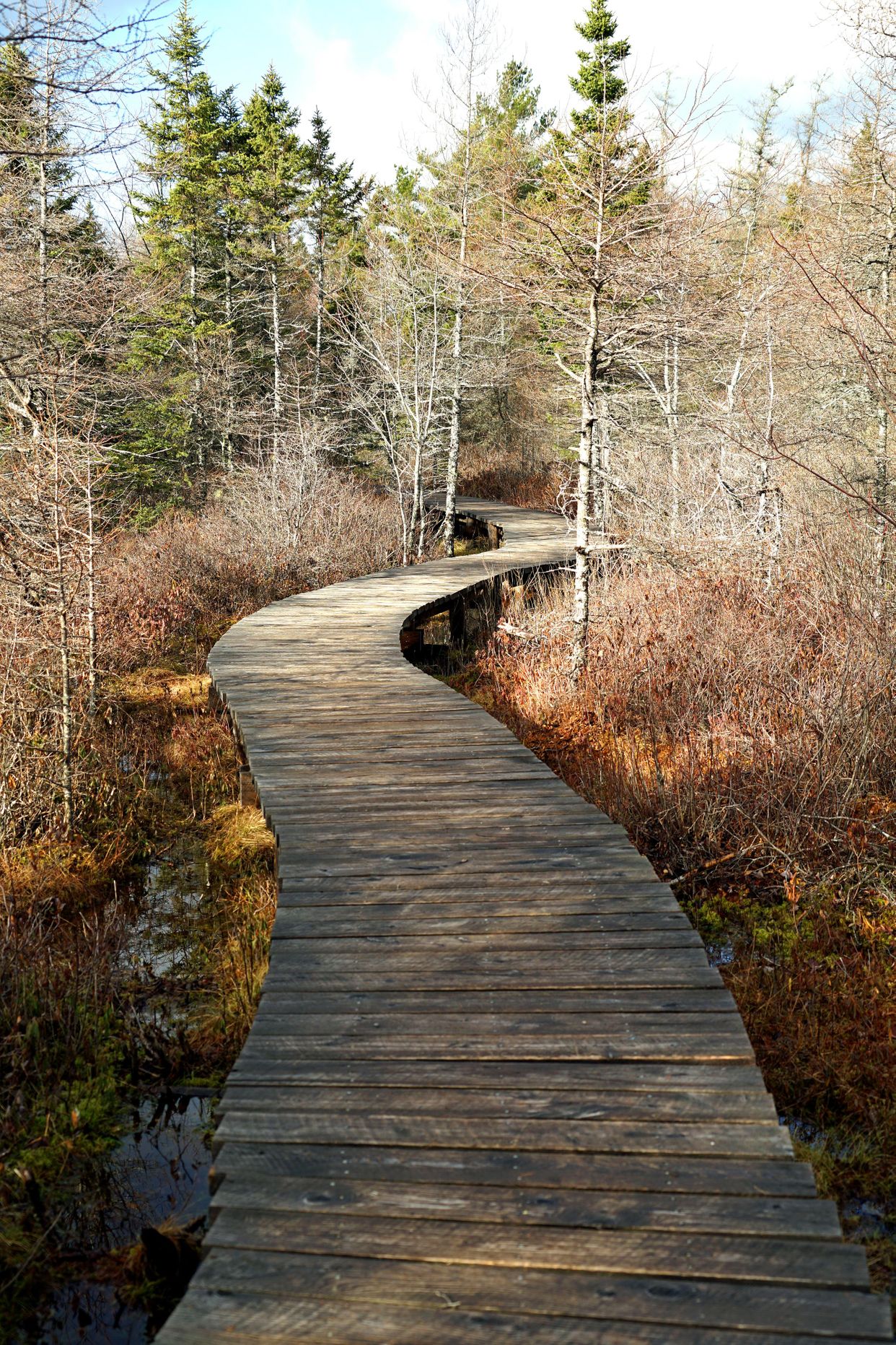Bluff Wilderness Hiking Trail