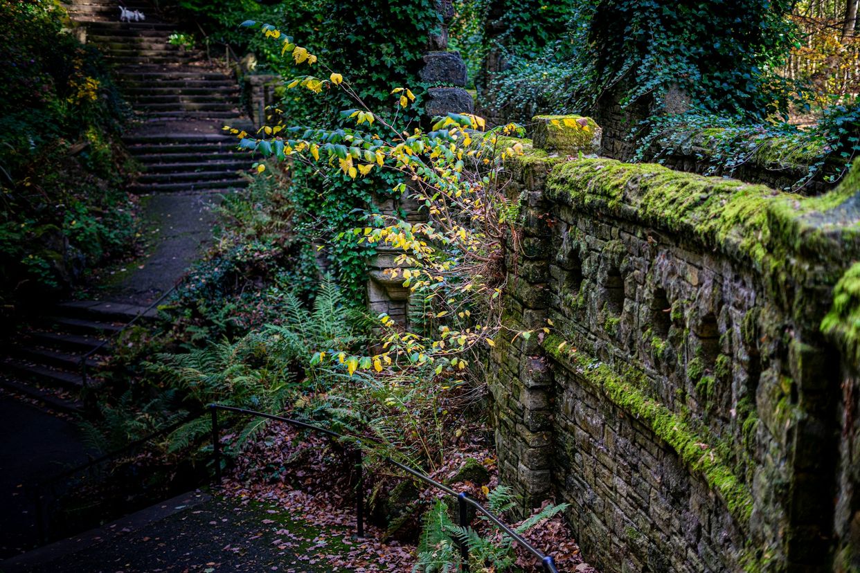 Beaumont Park