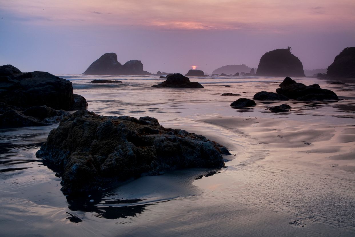 Shi-Shi Beach