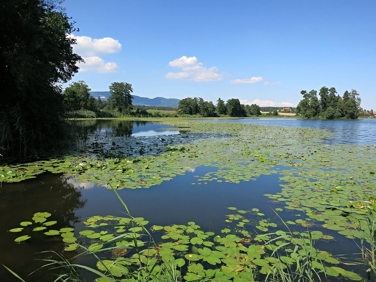 Inkwilersee