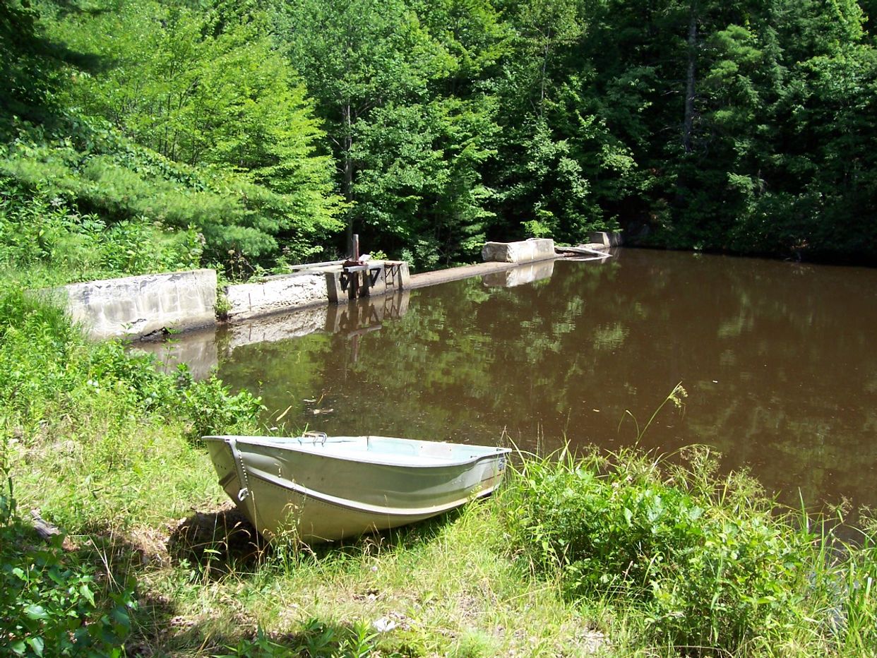 Caswell Pond