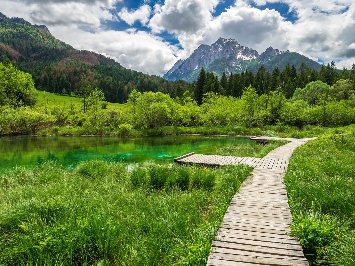 Zelenci Nature Reserve