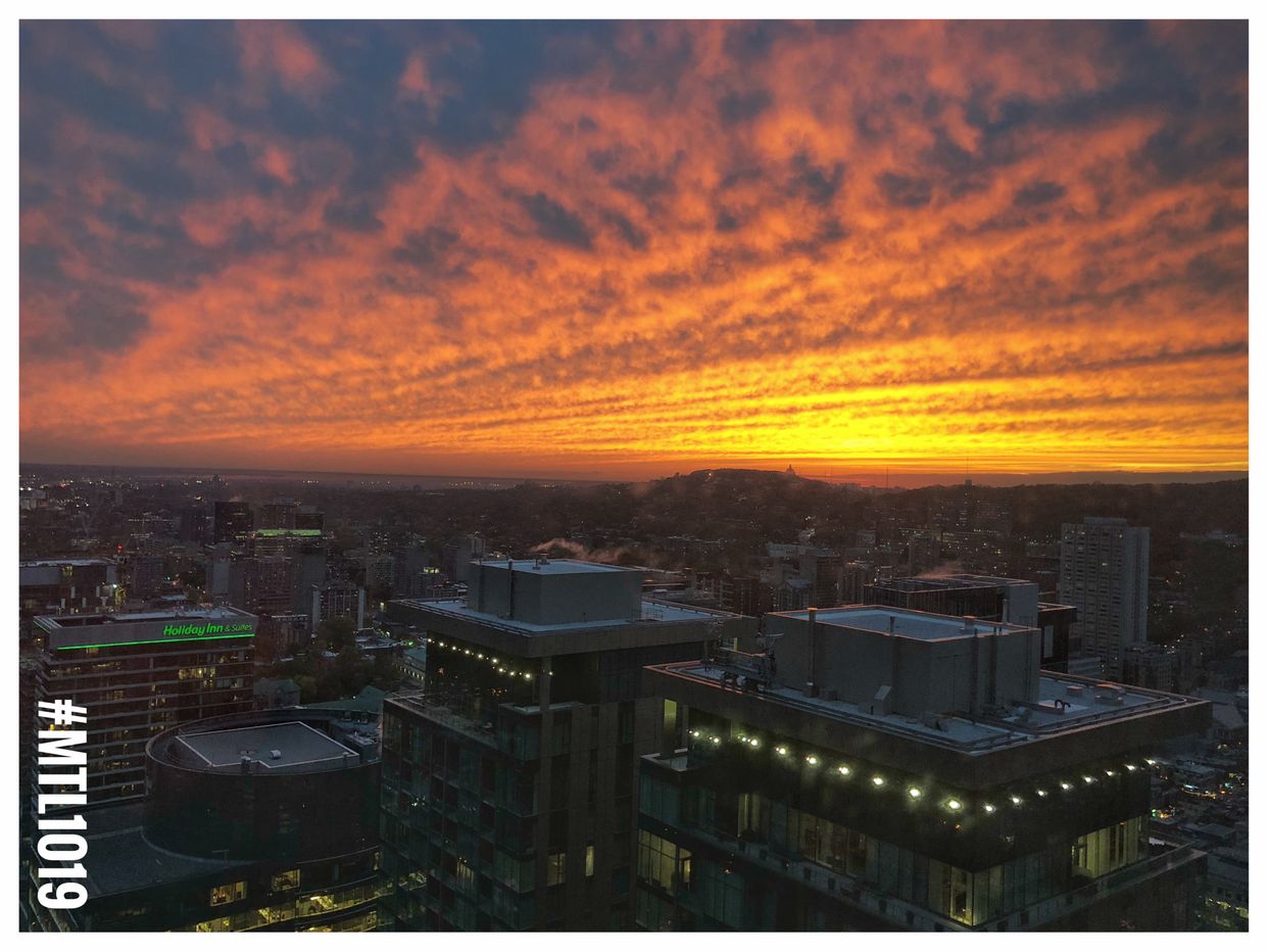 City View