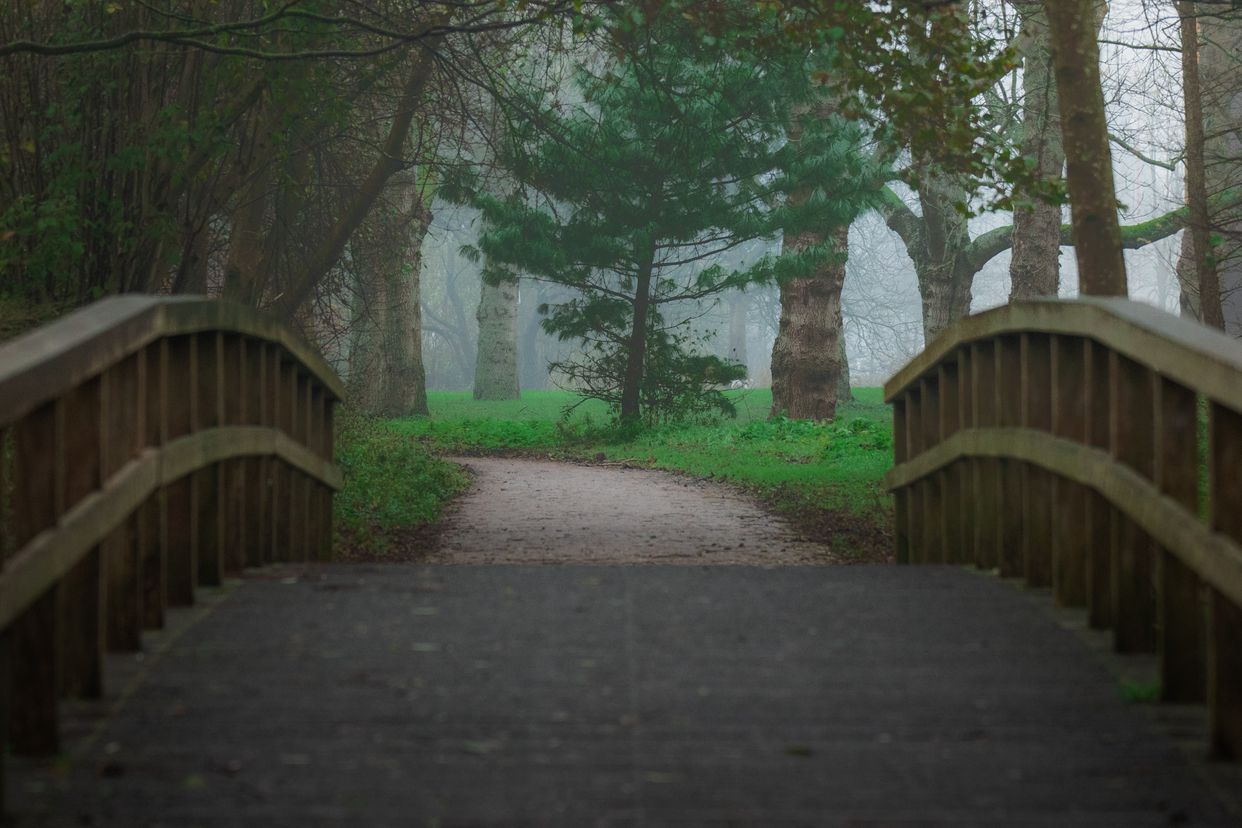Julianapark Bridge