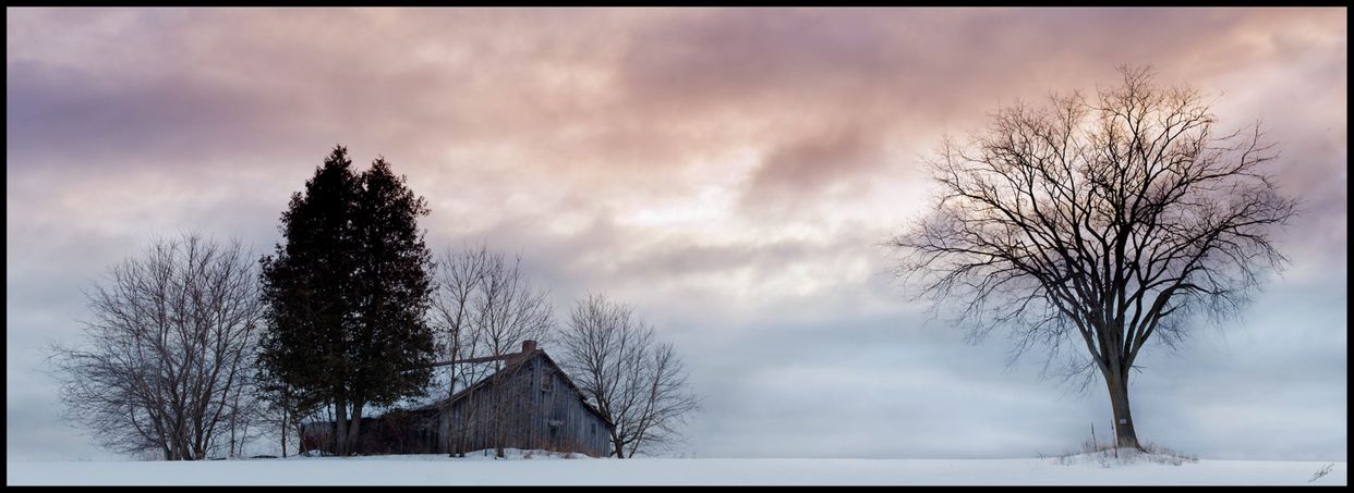 Abandoned Farmstead