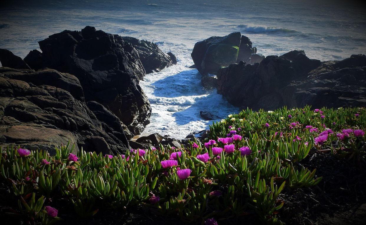 Praia Castro de São Paio