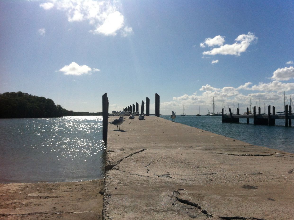Crandon Park Marina