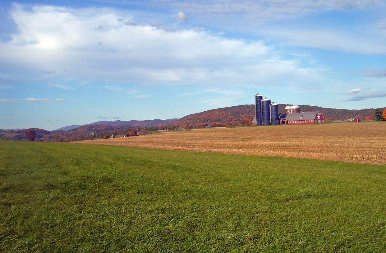 Rural Landscape 