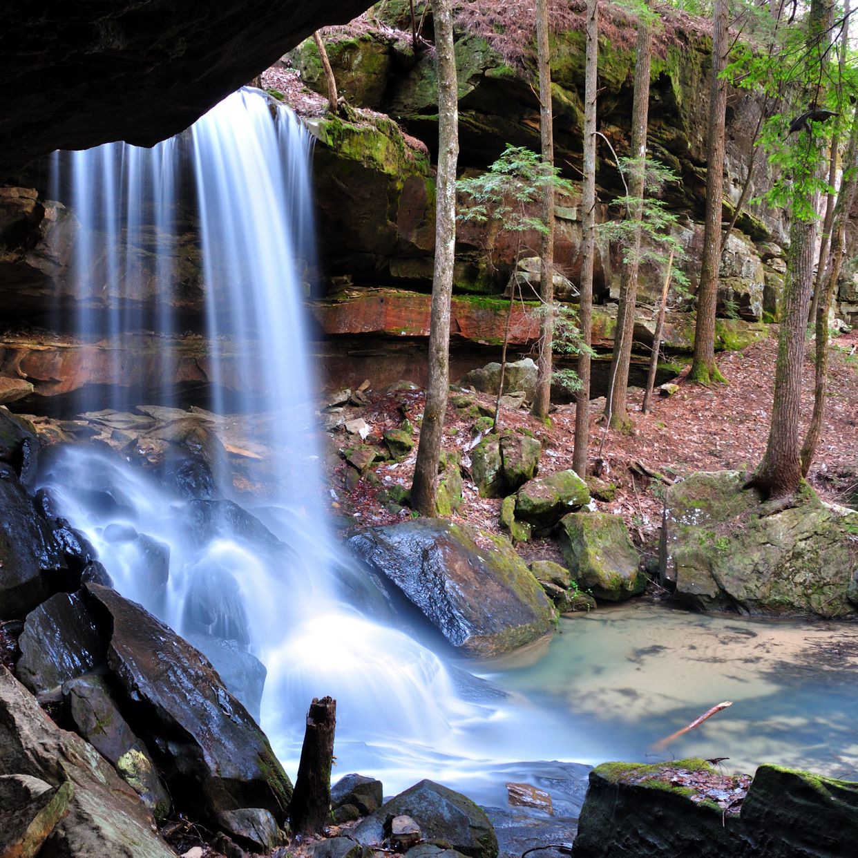 Turkey Foot Falls