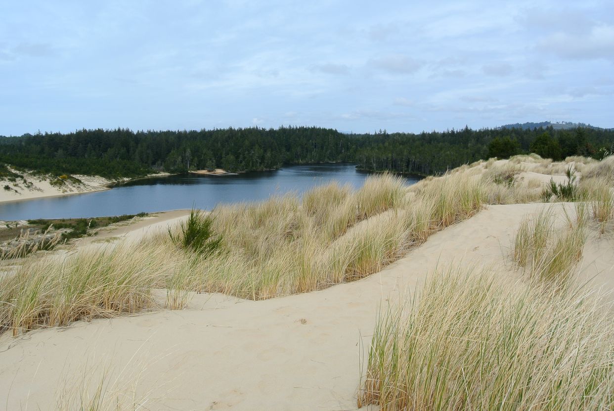 Cleawox Lake 