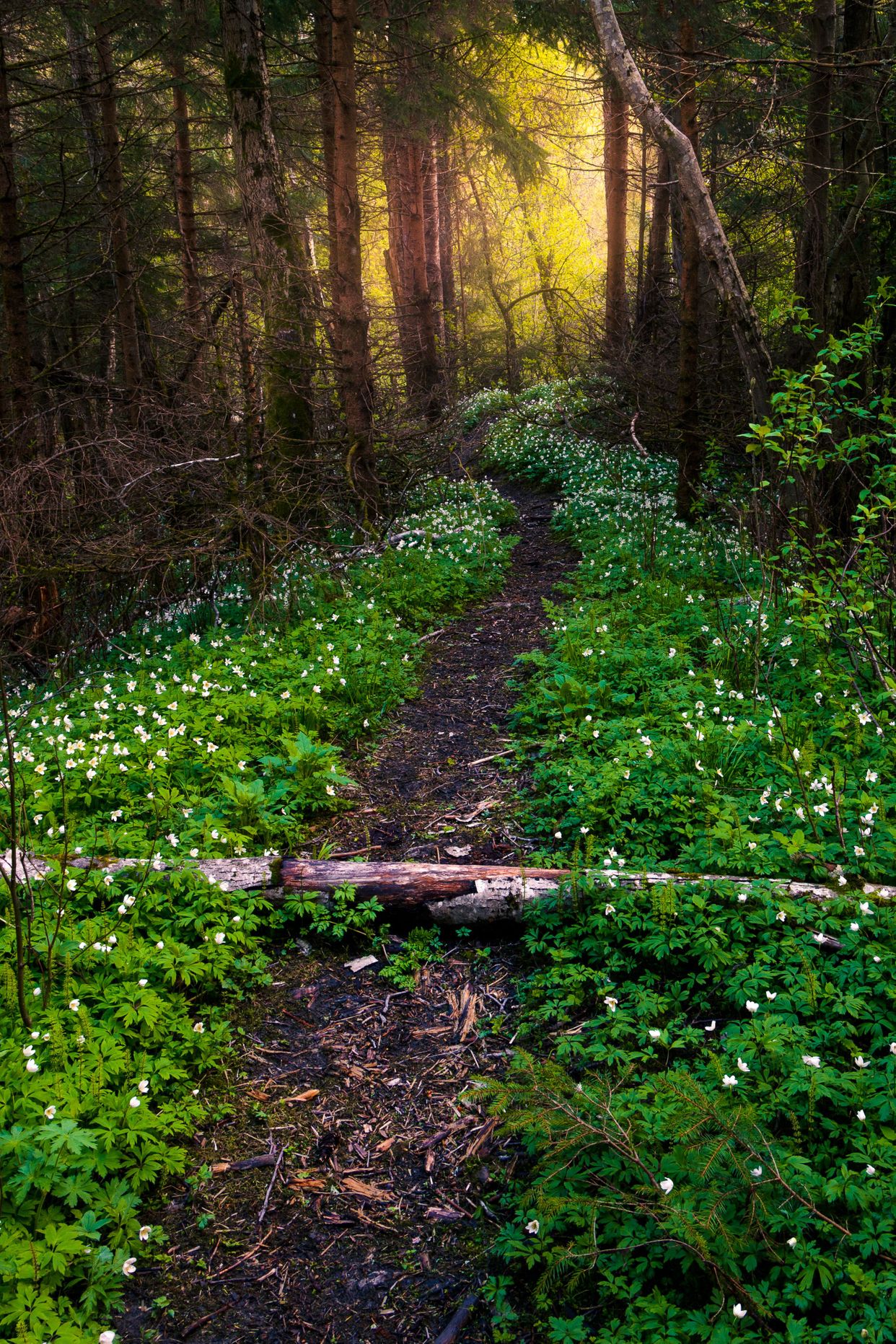 Ravine Valley Gardermoen - Photo by Stian
