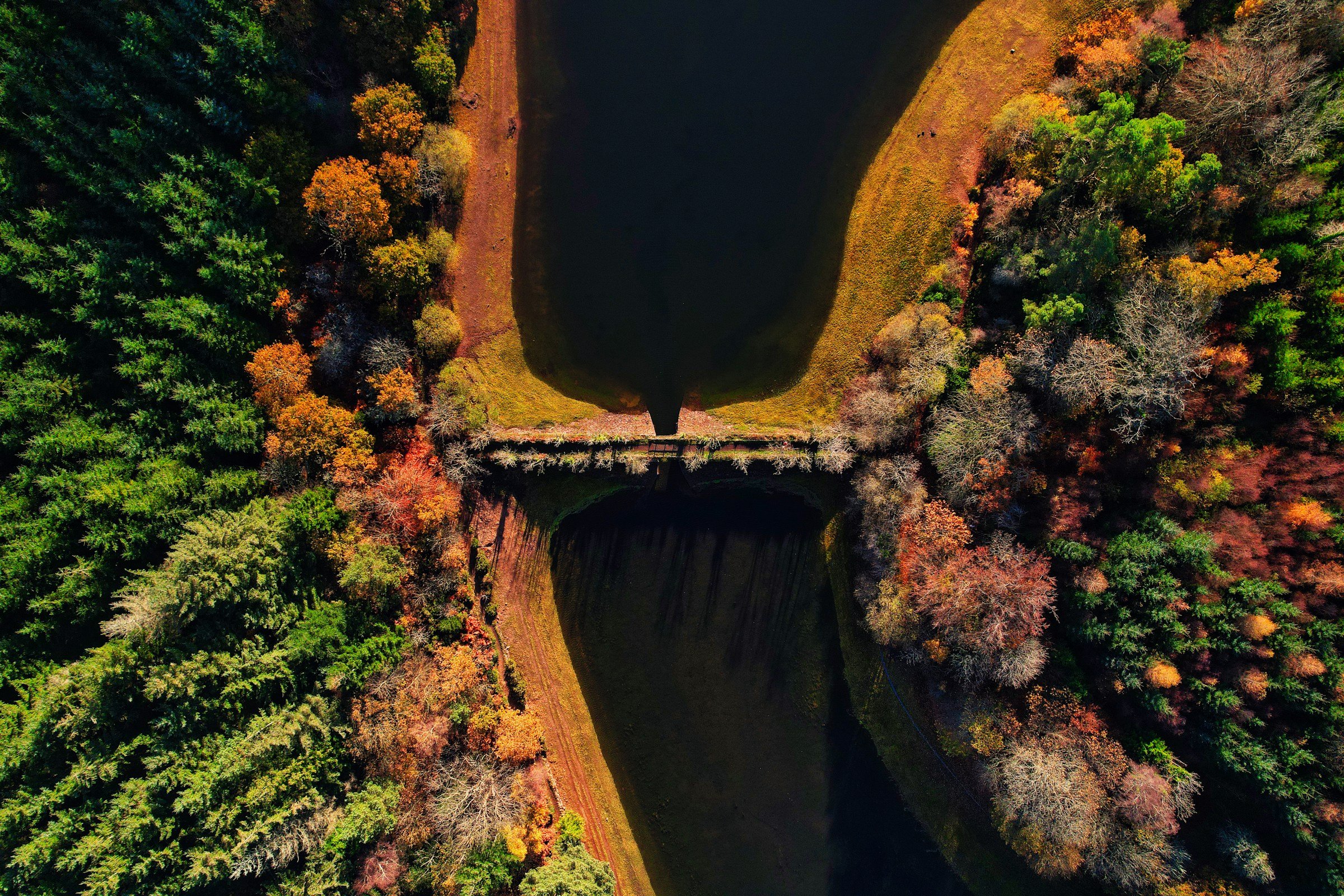 Tottiford Reservoir - Photo by Red Zeppelin
