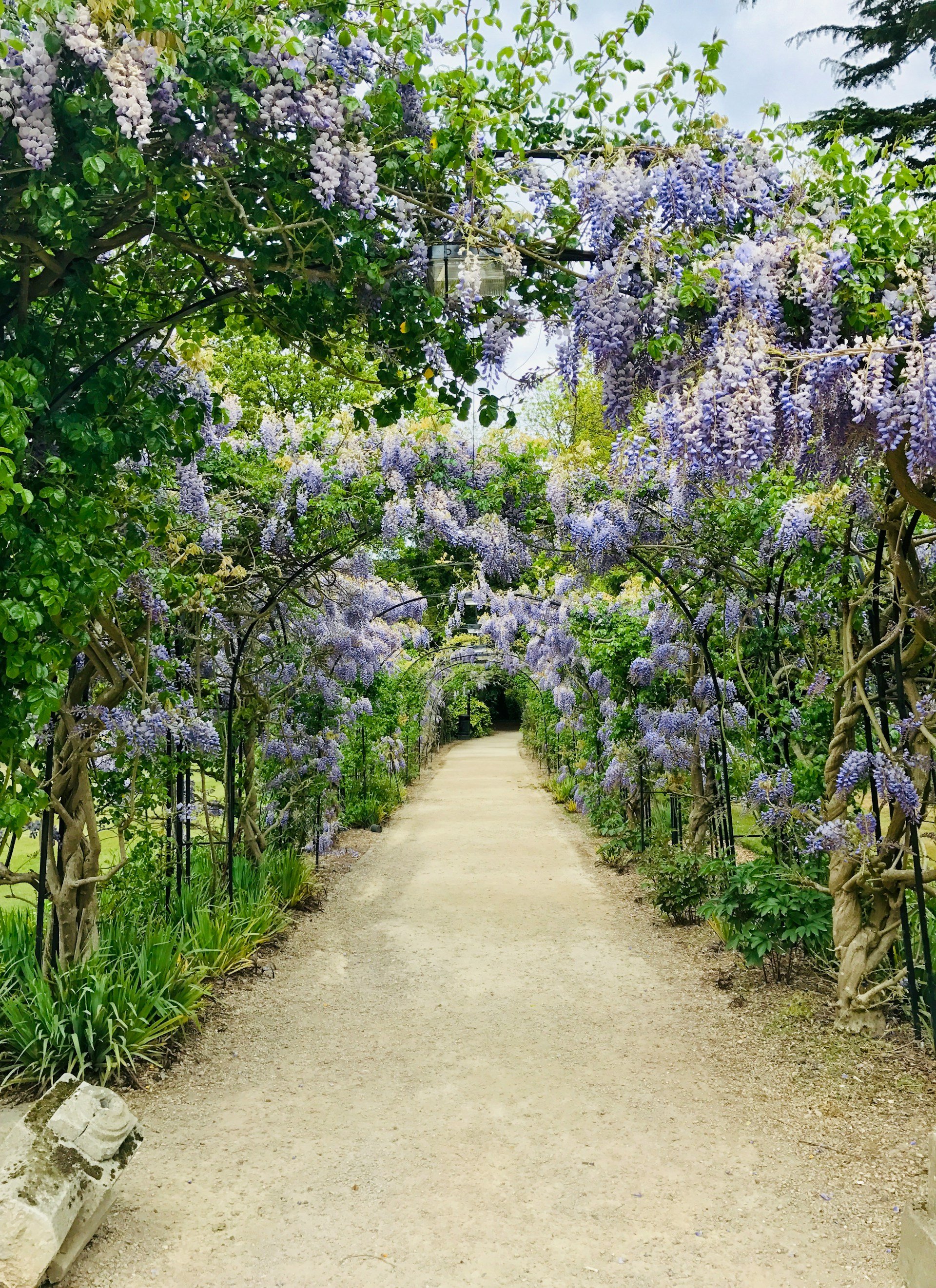 Roehampton Paradise Corridor