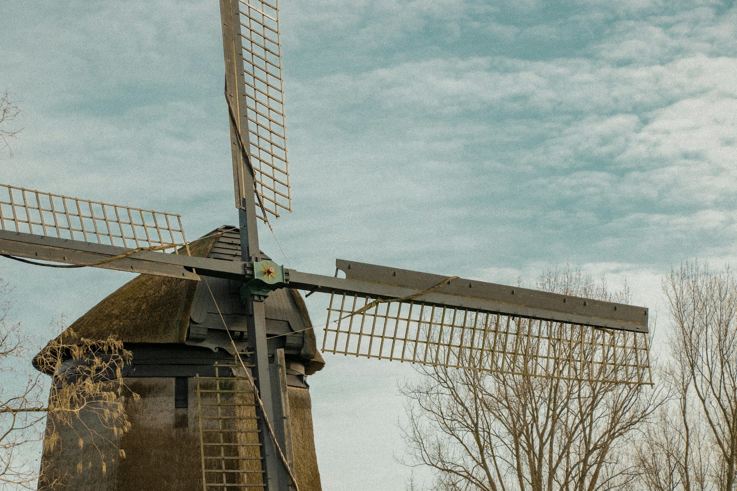 Molen Waarland