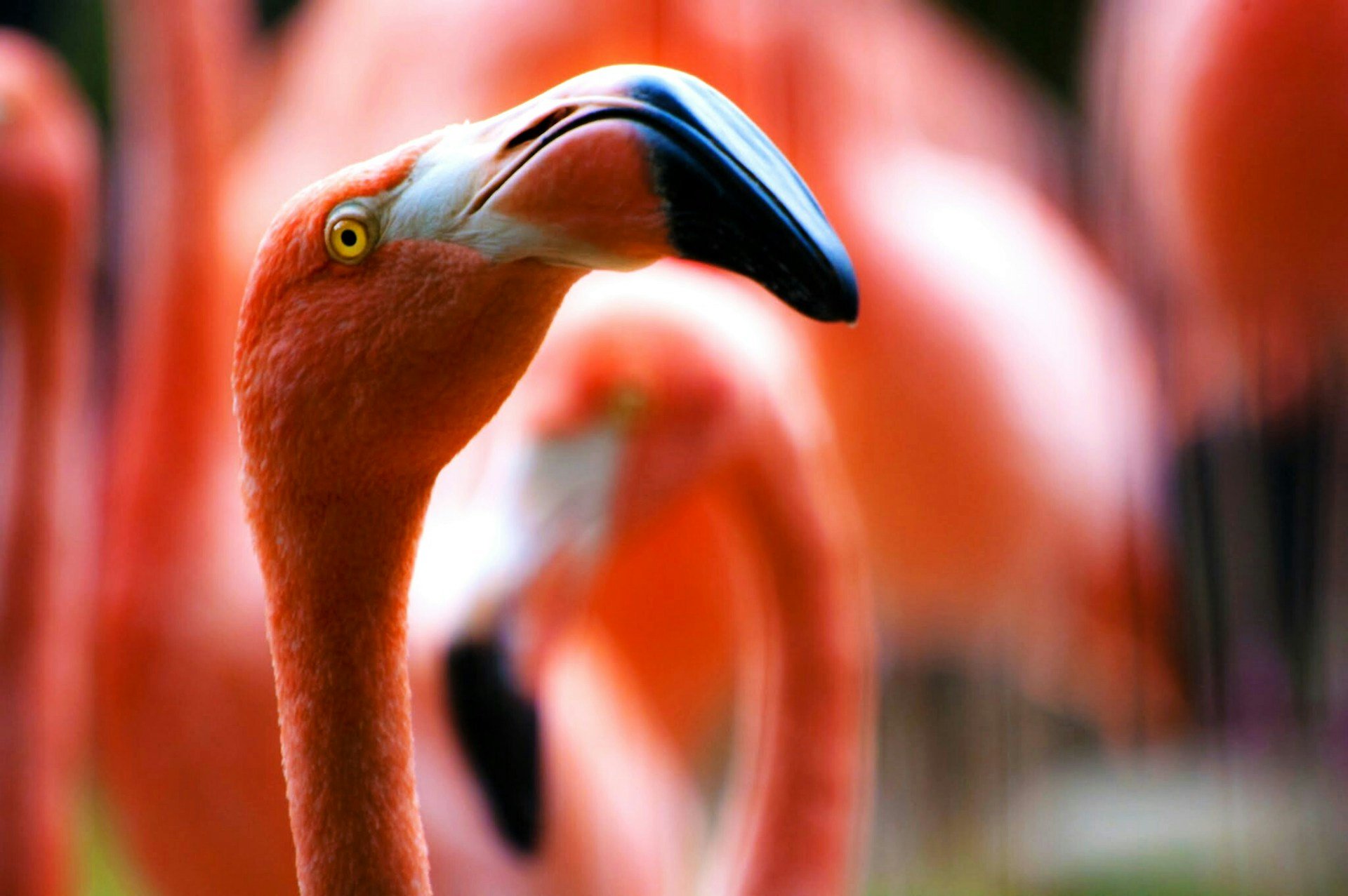 The Maryland Zoo in Baltimore