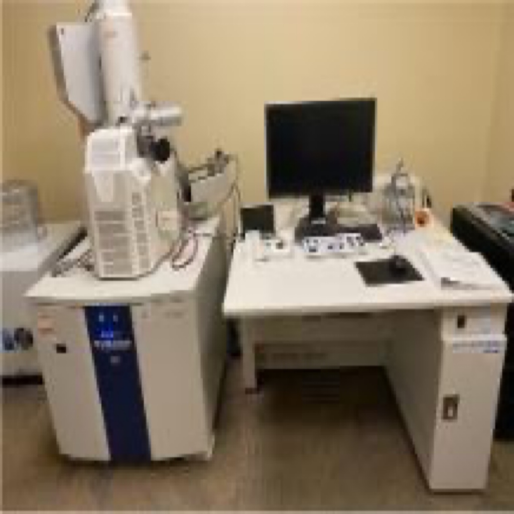 Hitachi SEM 4000 - Microscopy Services