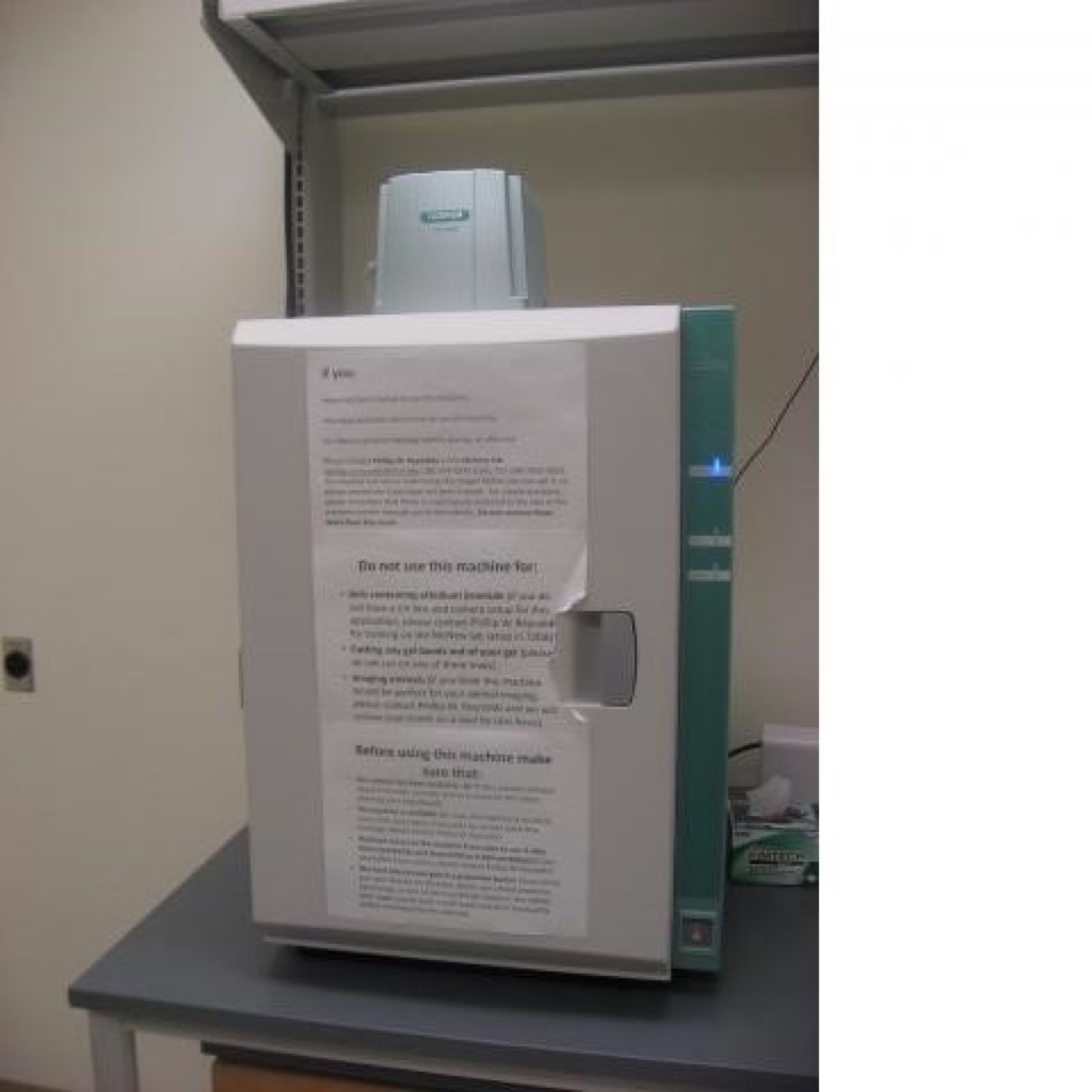 Fujifilm LAS-4000 - Imaging Services