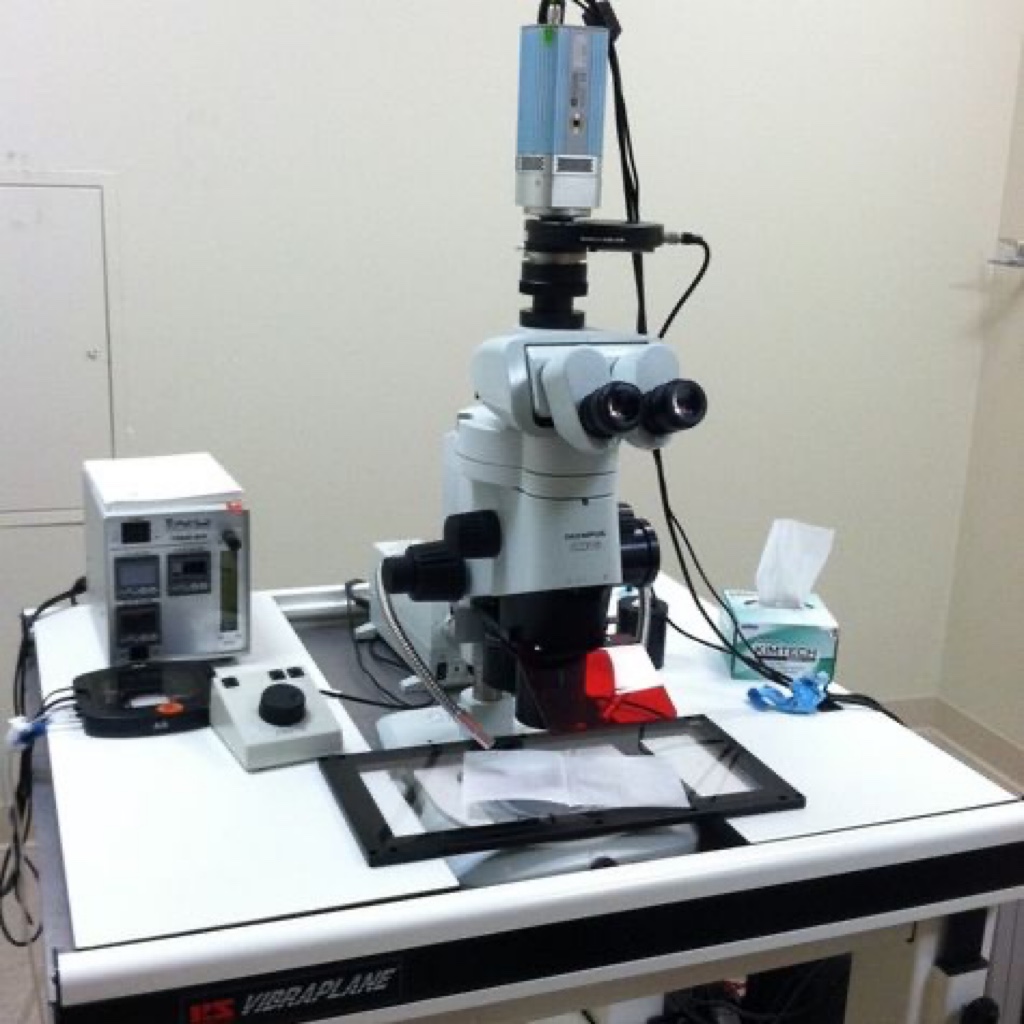 Olympus Stereo Imaging - Microscopy Services