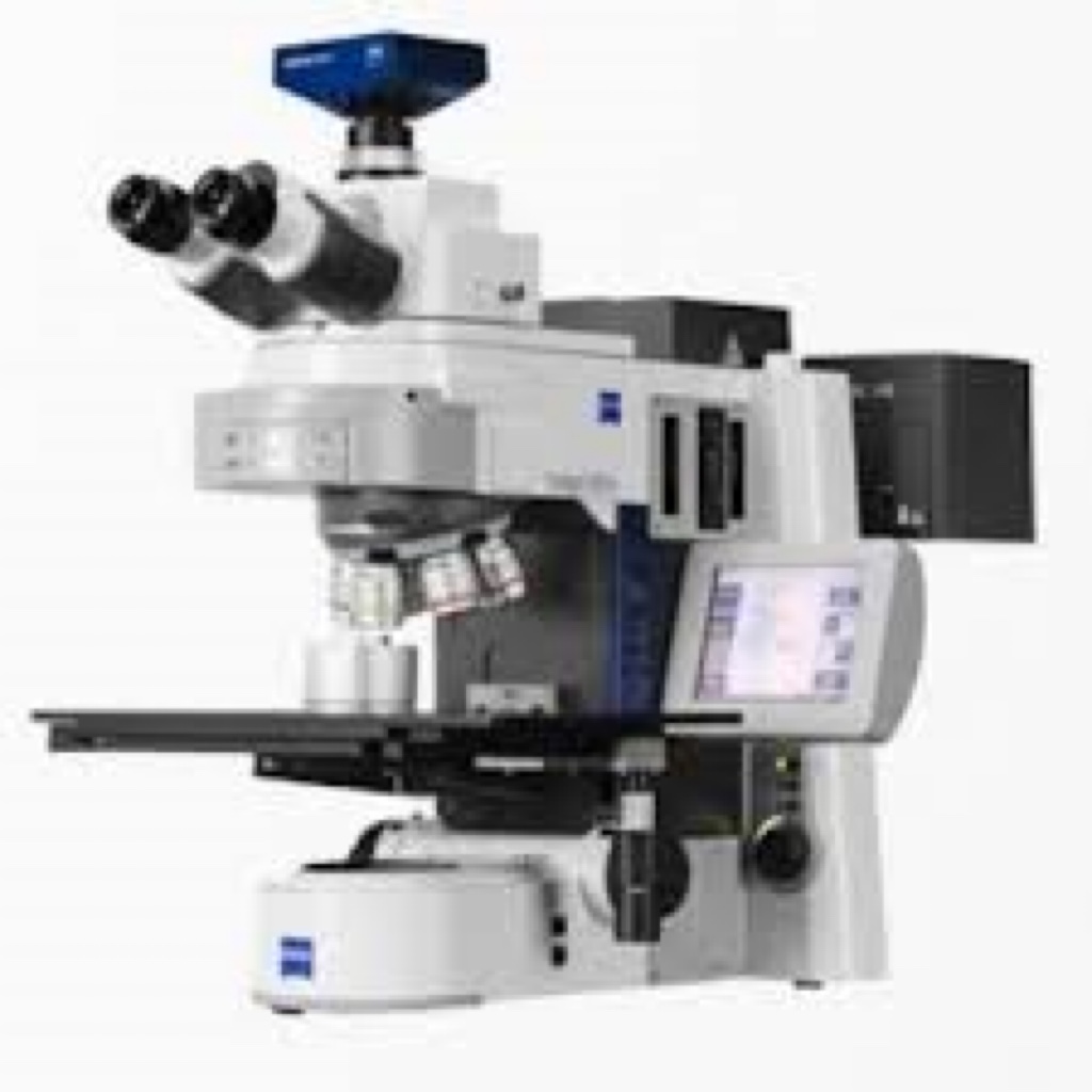 Zeiss LSM 710 NLO - Microscopy Services