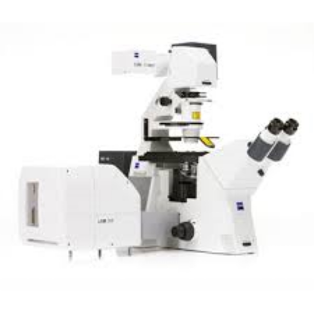 Zeiss LSM 700 - Microscopy Services