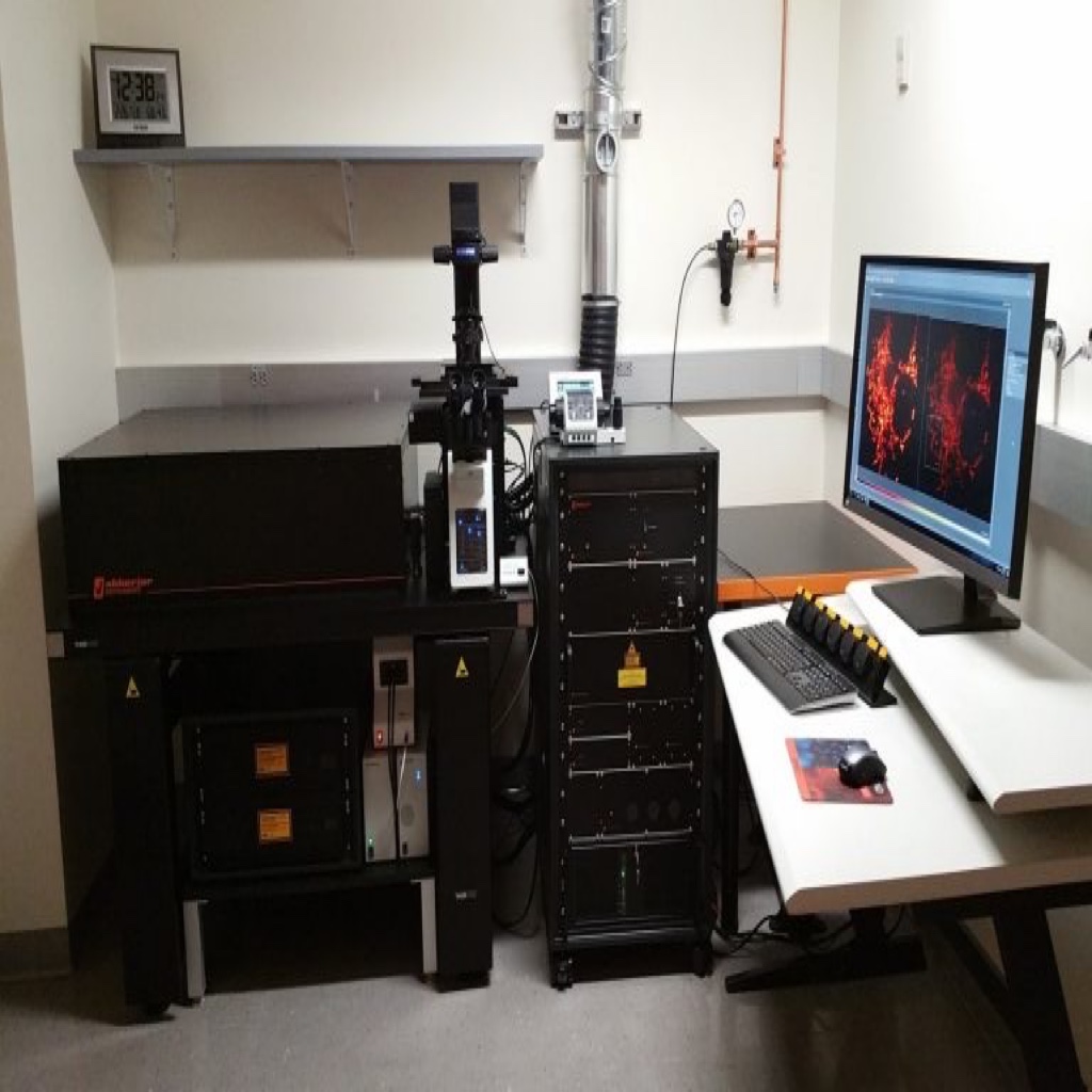 Olympus IX 83 - Microscopy Services