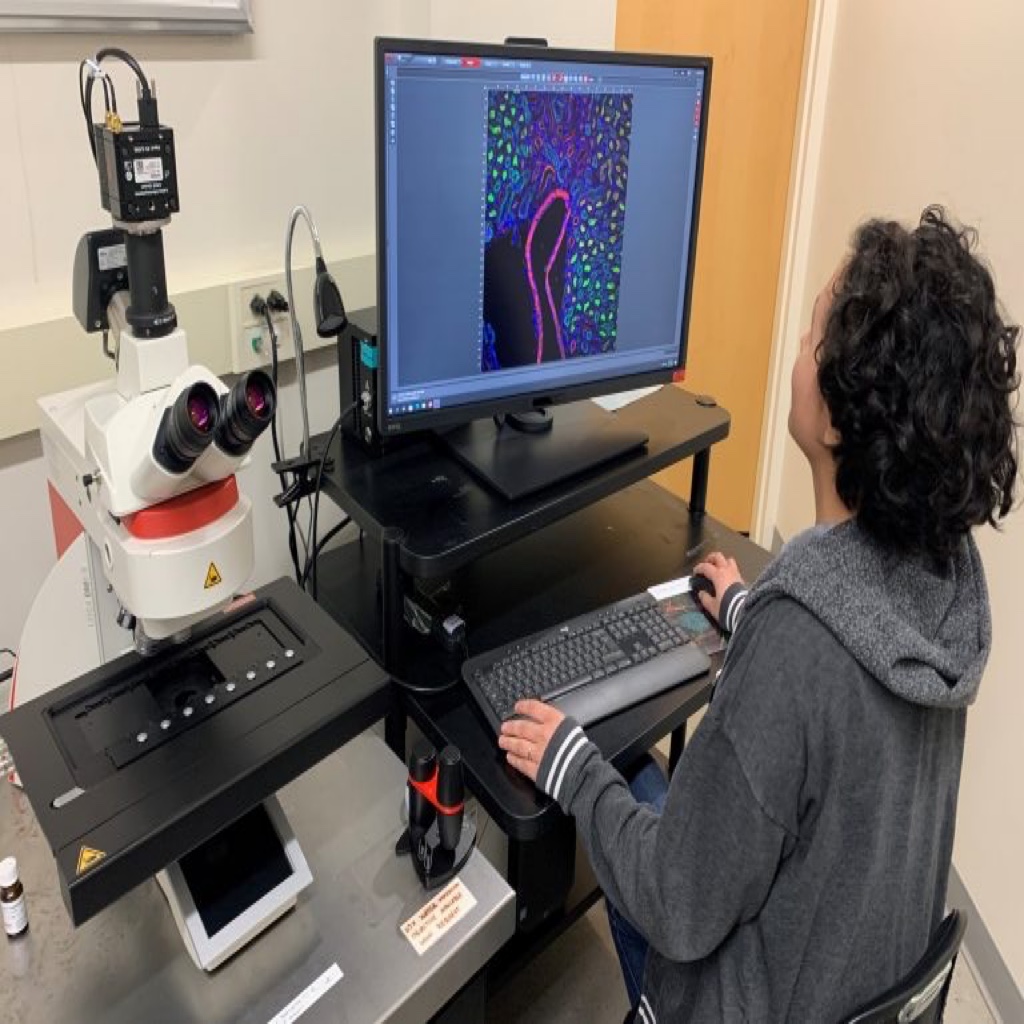 Leica Thunder - Microscopy Services