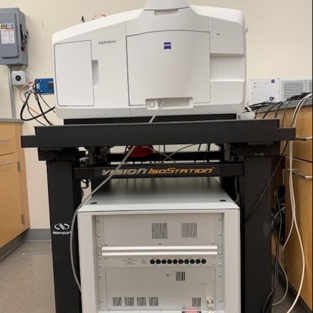 Zeiss Lightsheet 7 - Microscopy Services