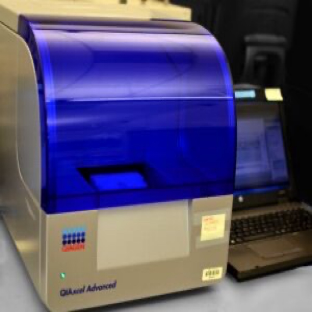 QIAGEN QI Axcel - Biotechnology Services