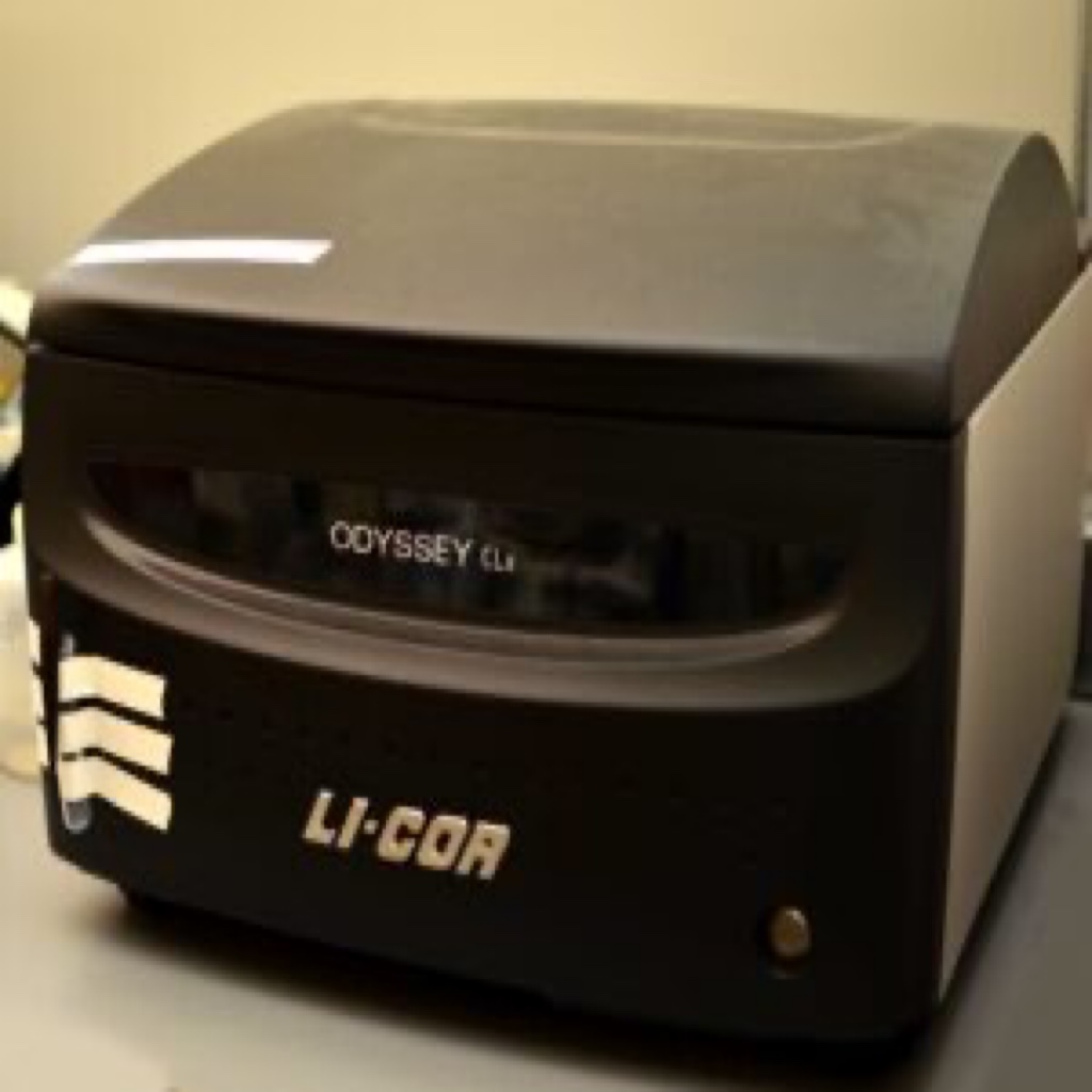 LI-COR Odyssey - Imaging Services