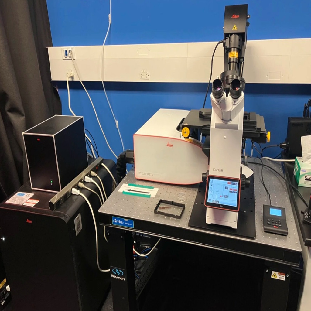 Leica Stellaris 5 WLL Leica Stellaris 5 WLL - Microscopy Services