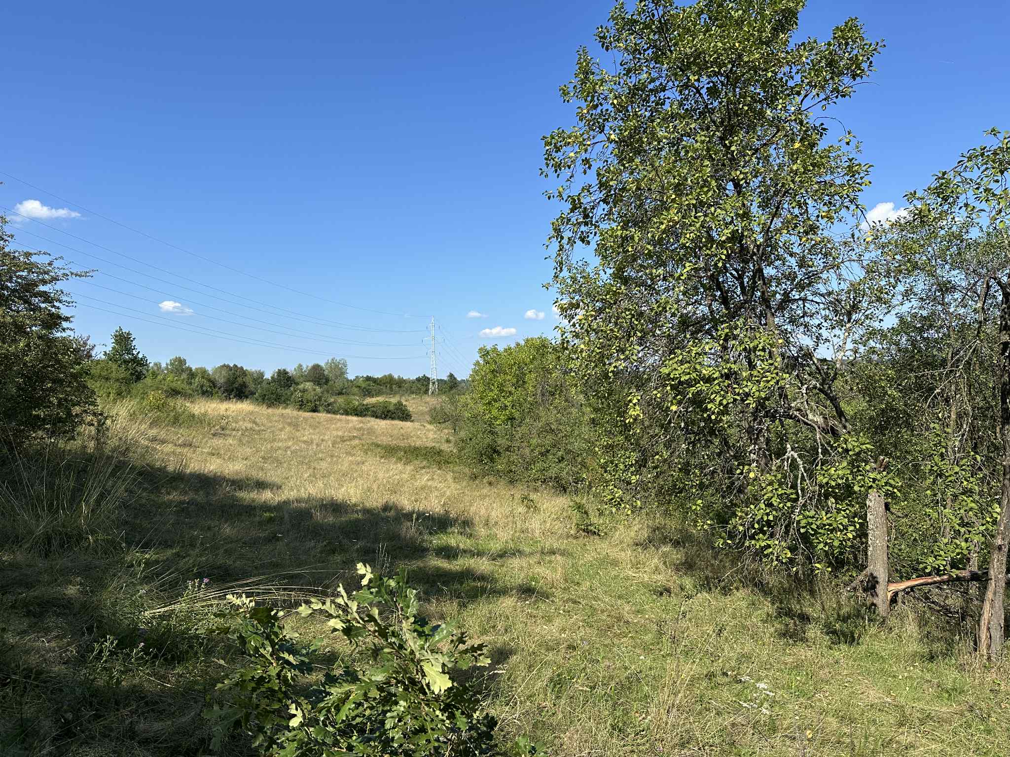 Image of property - 1755379832303_f596b78b-97a0-4951-b775-71ec904a08c1.jpg