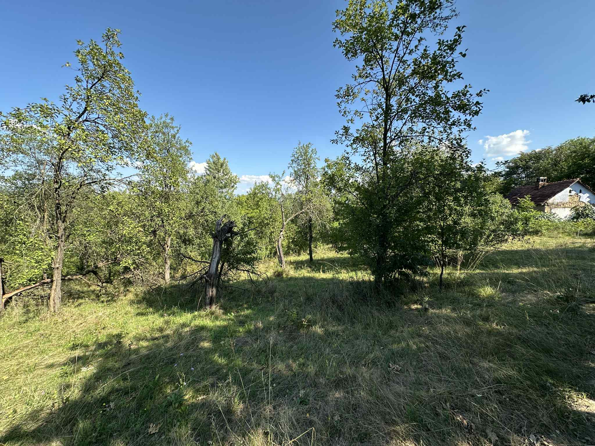 Image of property - 1755379839707_d1c10603-9b08-478a-9b44-28bfddf9c6c1.jpg