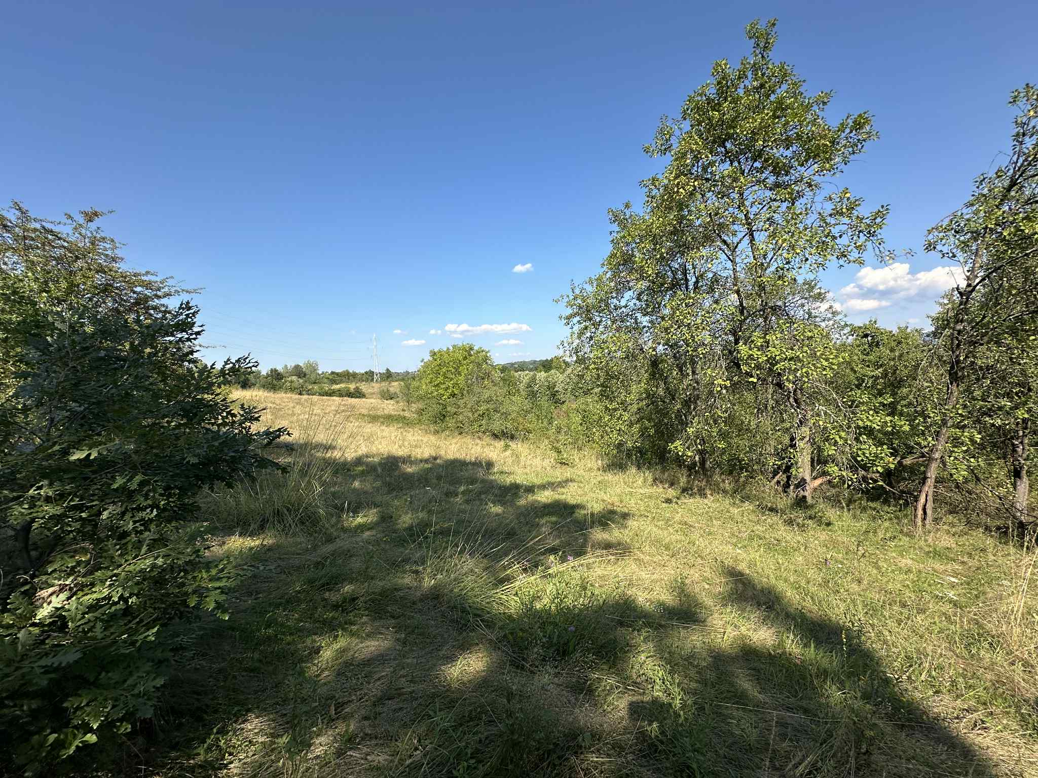 Image of property - 1755379846901_4e1414c1-cda7-4a21-a704-c275e33fc09b.jpg