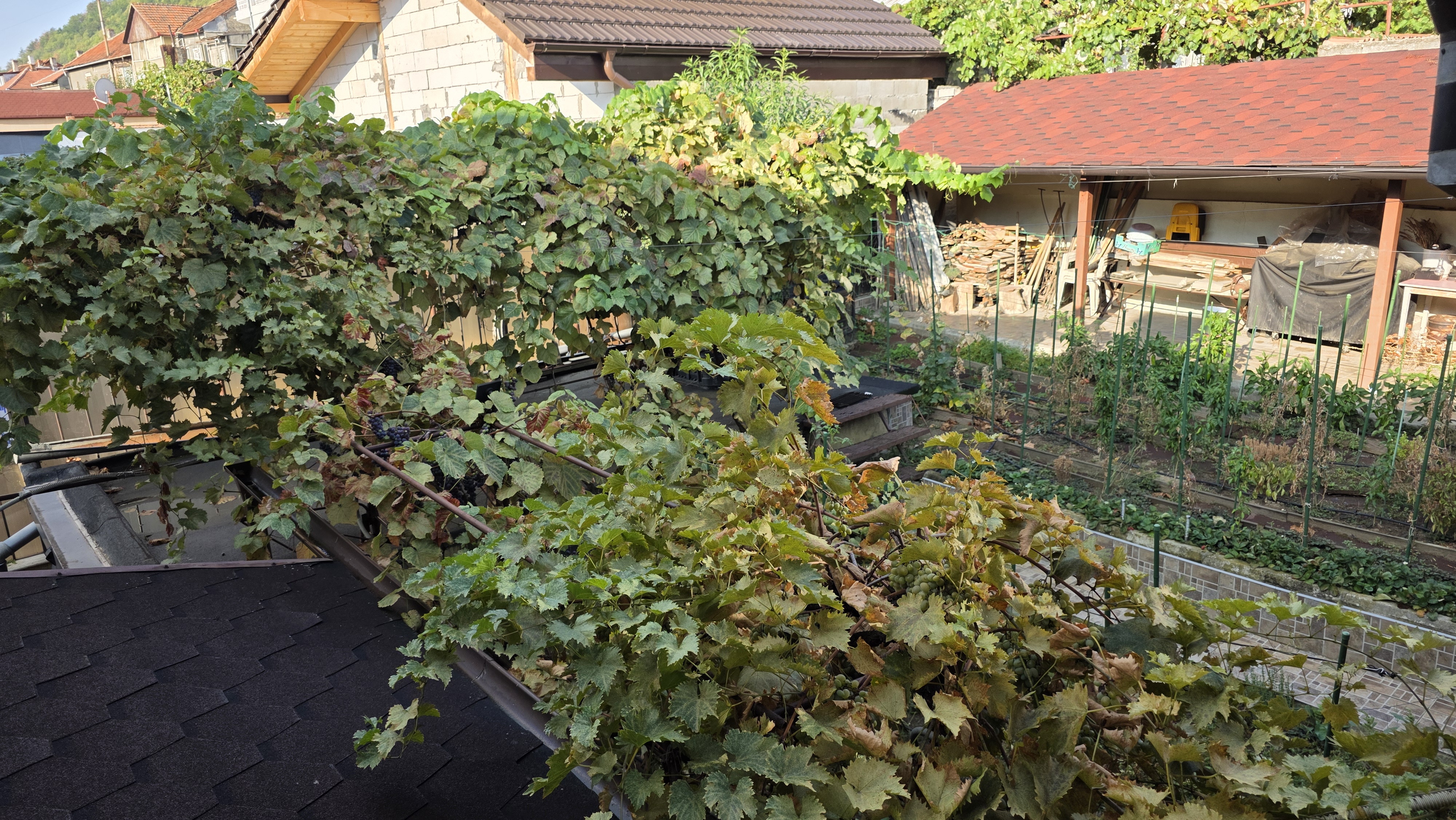 Image of property - 1757936259658_8_dwv5es_batch2_mfl1uvt4wvsagh_20250912_092718.jpg