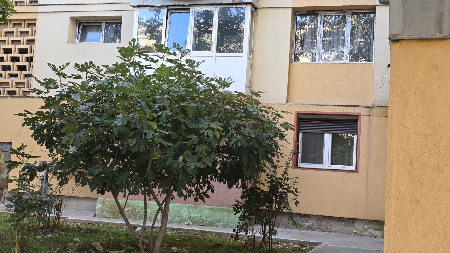 Image of property - 1761902944853_1_sriljj_batch0_mheniszn229yjs_20251030_145906.jpg