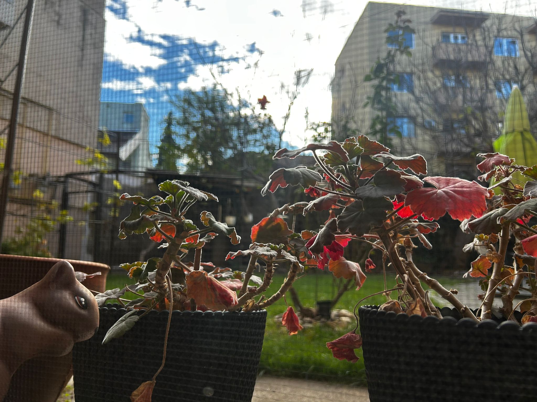 Image of property - 1764088056391_23_05agxy_batch0_mieshbttks9zok_WhatsApp_Image_2025-11-25_at_18.18.13.jpeg