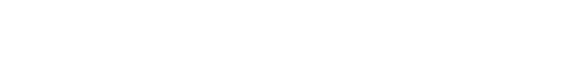 CAPO 1.0