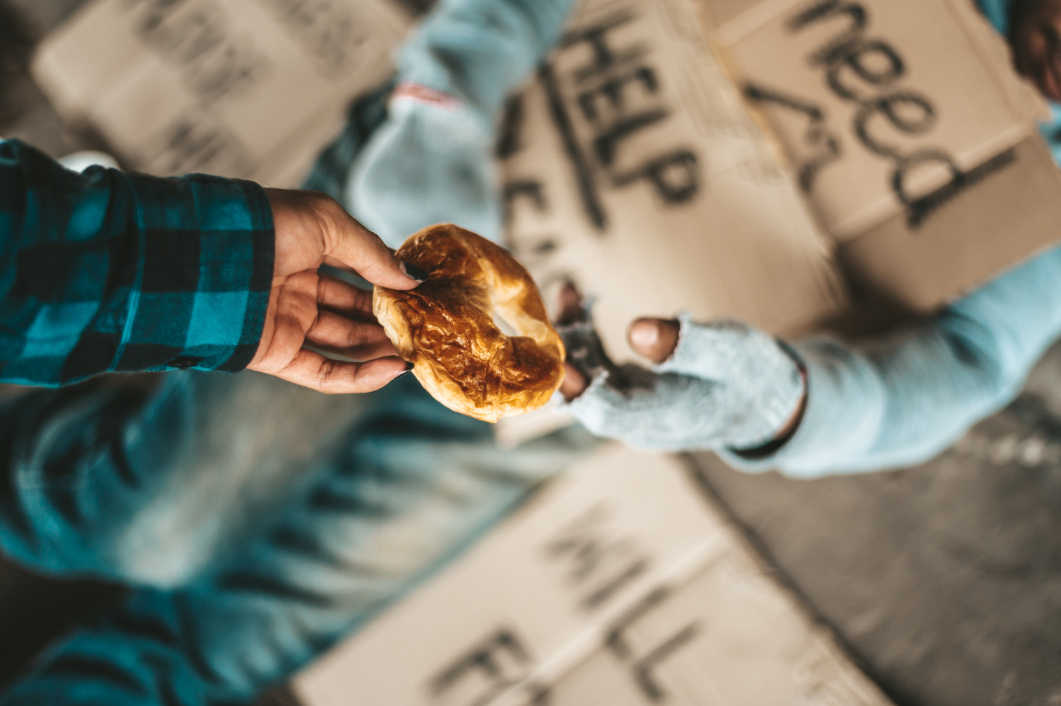 How to Fight Hunger in Your Community