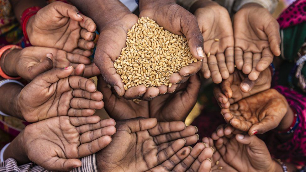 The Global Hunger Crisis and How to Solve It
