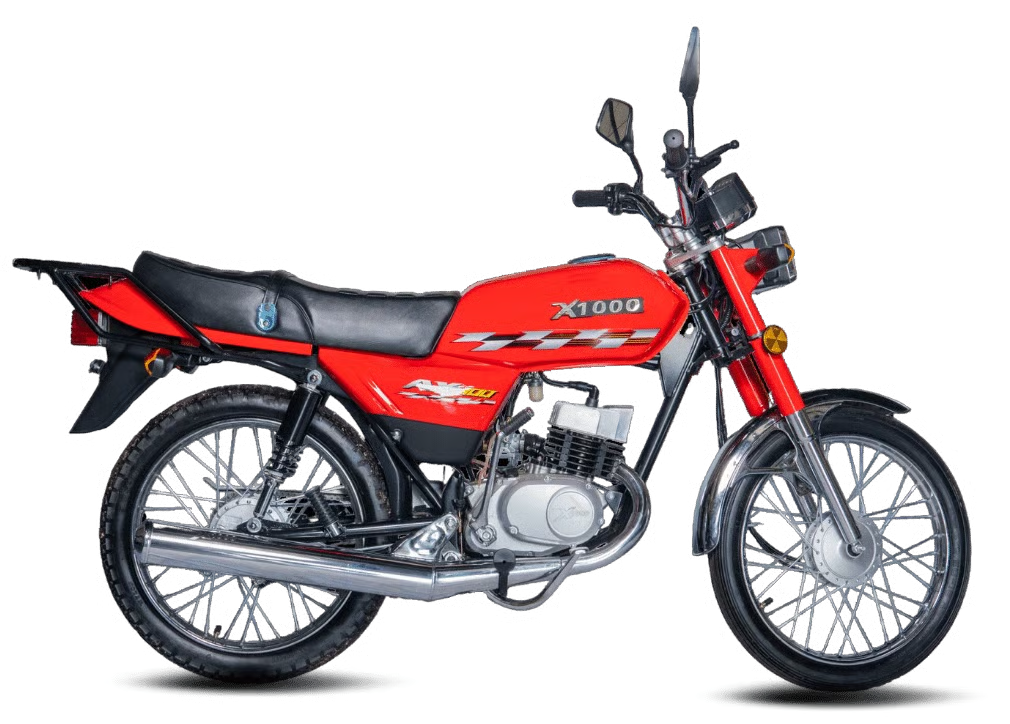 2025 X-1000 AX-100 DISCO en Papolo Motors