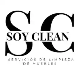 Soy Clean Logo