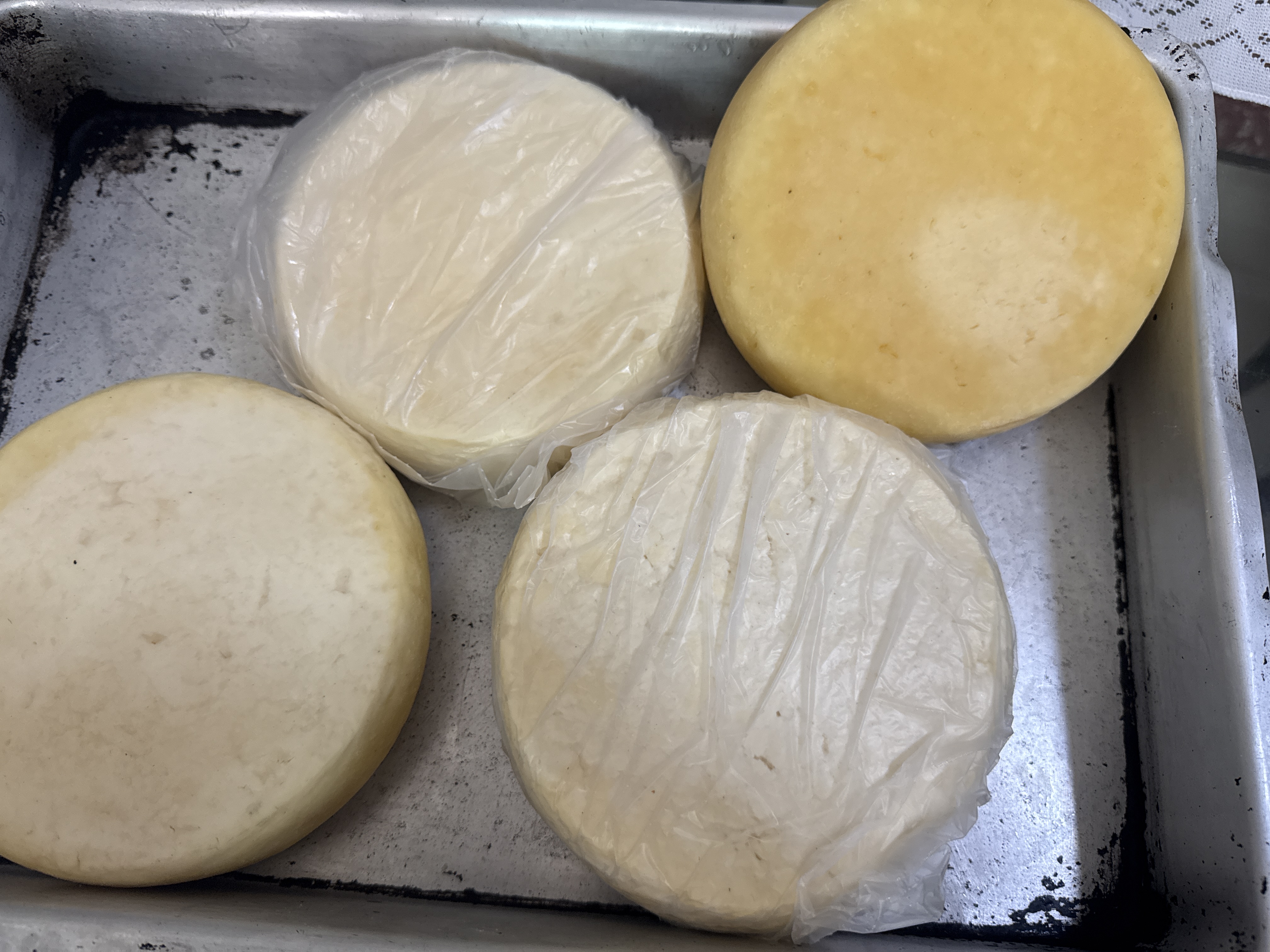 Queijo fresco/curado  